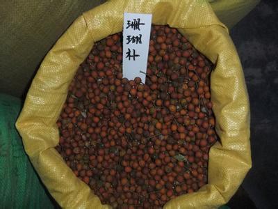 【咸陽市香椿種子價格】價格,廠家,其他種子、種苗-搜了網(wǎng)