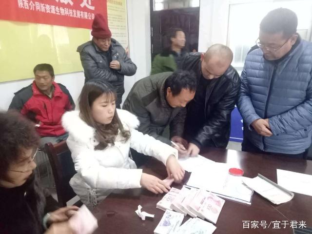 宜君縣哭泉鎮:高鈣菜種植讓群眾脫貧致富不缺&ldquo;鈣&rdquo;